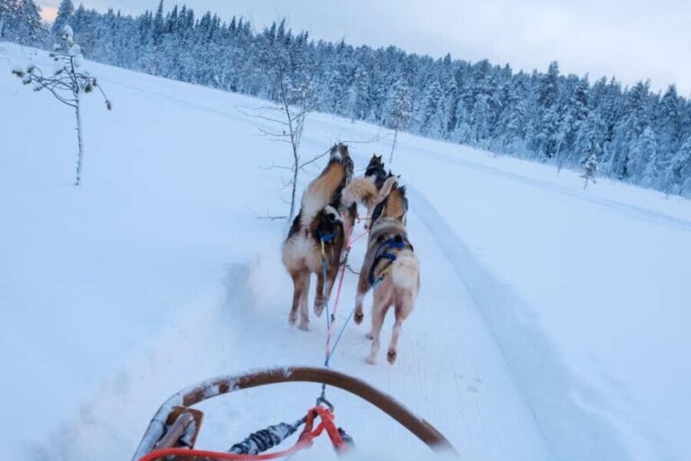 Husky Ride, Snowmobile, Trip to Ranua and Northern Lights - How the Itinerary Fits Together