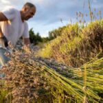Hvar: Lavender Fields, Honey, and Local Product Tasting - Practical Details and Tips