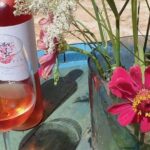 Hvar Small Group Wine Tour and Authentic Dalmatian Dinner - The Value of the Tour