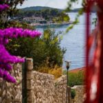 Hvar Walking Tour With Your Local Guide - A Detailed Look at the Hvar Walking Tour
