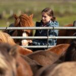 Hveragerdi: Countryside Charm Horse Riding Tour - Detailed Breakdown of the Itinerary