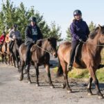 Hveragerdi: The Siggi Horse Riding Tour - What Makes the Horses Special