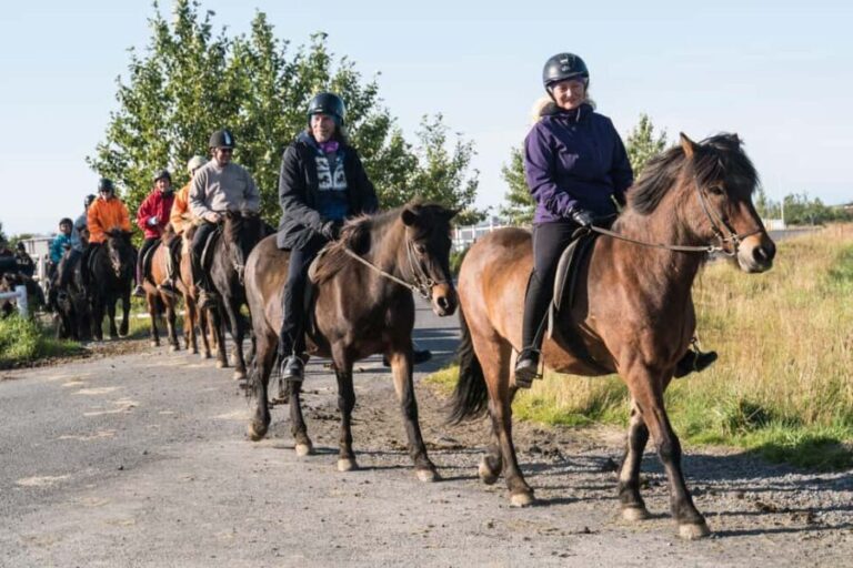 Hveragerdi: The Siggi Horse Riding Tour - What Makes the Horses Special