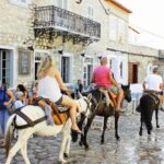 Hydra Island: Full Day Trip from Athens with Swimming - A Closer Look at the Hydra Island Tour