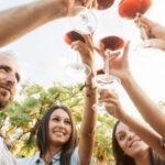 ian: Organic Winery Tour and Tasting Experience - What to Expect and Tips