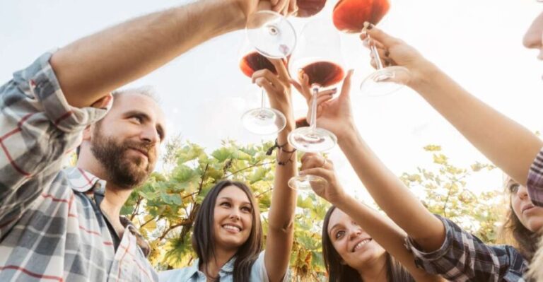 ian: Organic Winery Tour and Tasting Experience - What to Expect and Tips