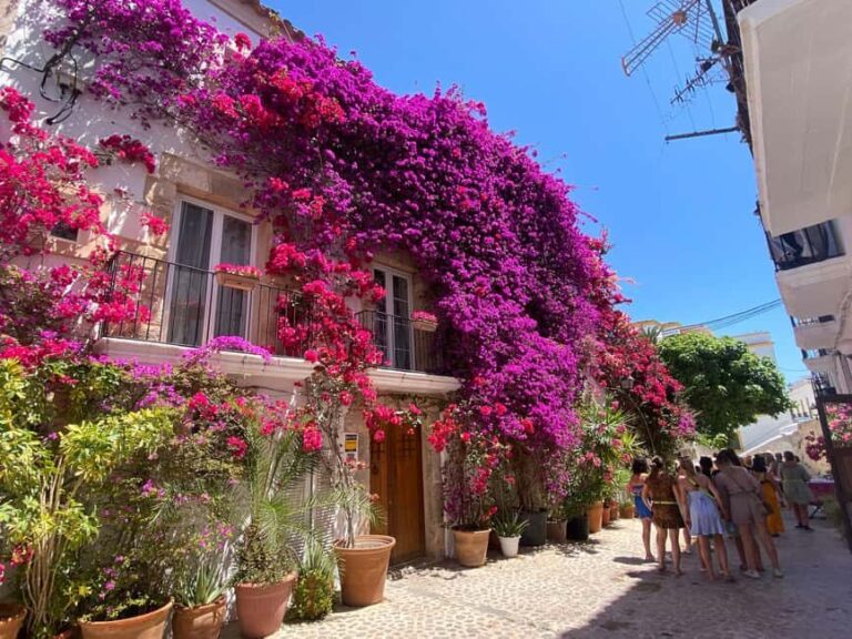 Ibiza: Dalt Vila Walking Tour with Sangría/Sangría Workshop - Who Is This Tour For?