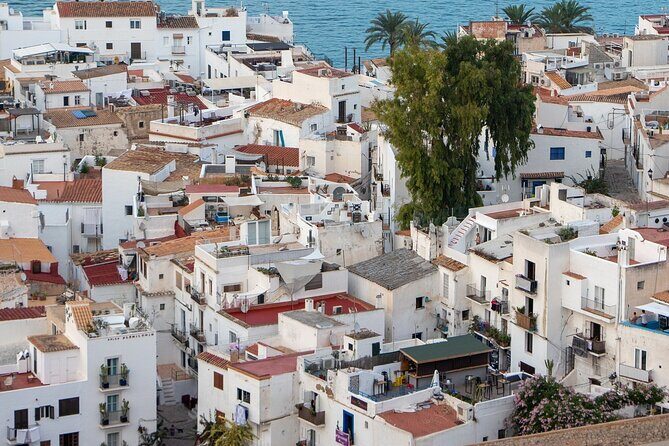 Ibiza old town Private Walking Tour with a Professional Guide - Final Thoughts: Who Will Love This?
