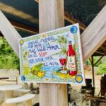 Ibiza: Winery Tour + Tasting Experience with Pickup/Dropoff - Practical Details and Considerations