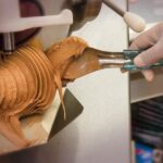 Ice Cream Show - Who Will Love This Experience?