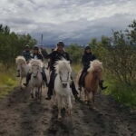 Iceland: Volcanic Landscape Horse Riding Tour - What You Can Expect During the Tour