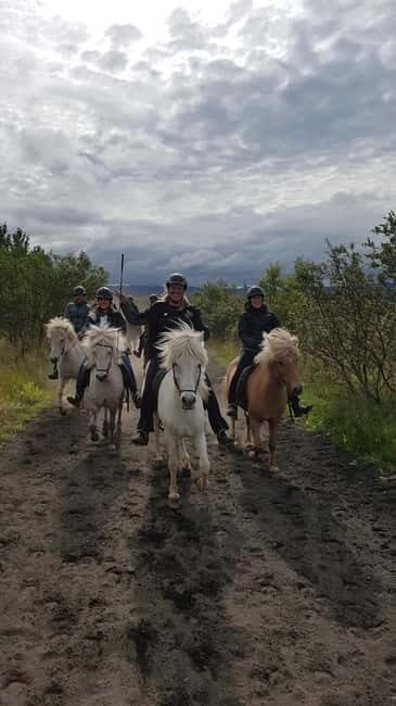 Iceland: Volcanic Landscape Horse Riding Tour - What You Can Expect During the Tour