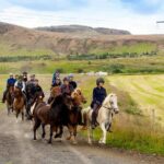 Icelandic Horse Riding and Whale Watching Cruise from Reykjavík - Final Thoughts
