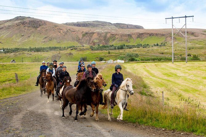 Icelandic Horse Riding and Whale Watching Cruise from Reykjavík - Final Thoughts