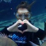 Icmeler: Scuba Diving with a Qualified Instructor - The marine environment in Icmeler
