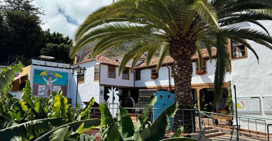 Icod de los Vinos: Casa del Plátano Entry Ticket - The Highlights: What You’ll Love