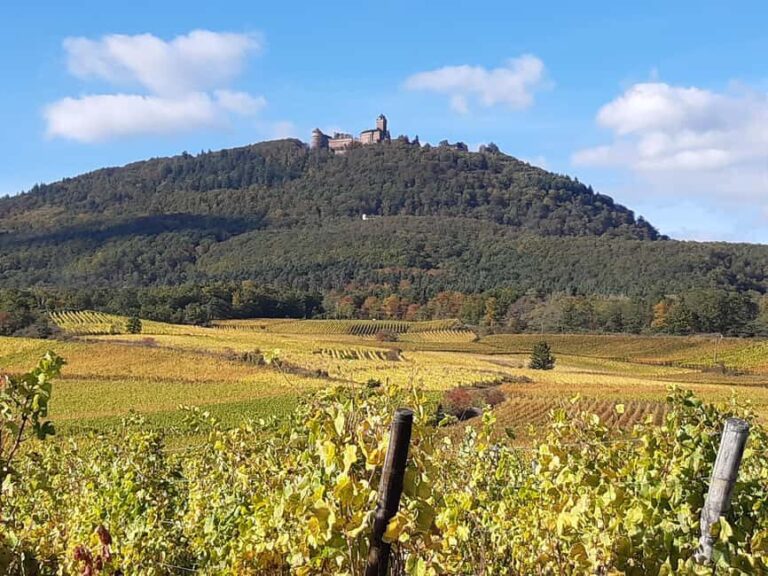 Iconics Typical villages & Haut Koenigsbourg castle - What We Loved About This Tour