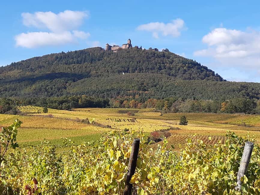 Iconics Typical villages & Haut Koenigsbourg castle - What We Loved About This Tour