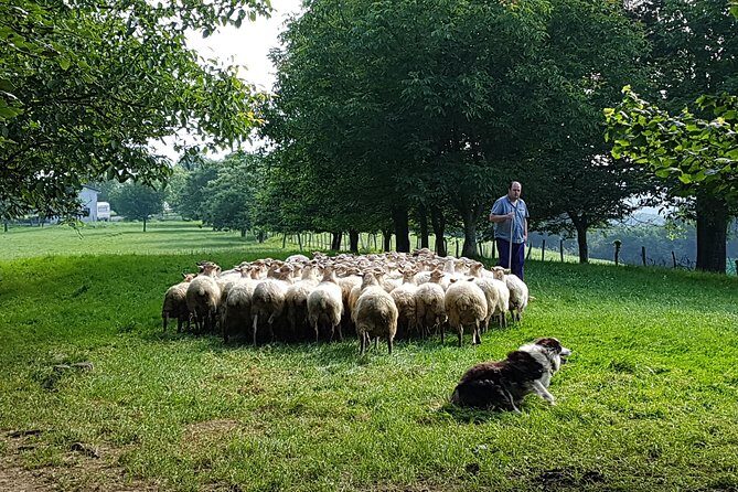 Idiazabal Cheese Farm and Basque Cider House Lunch from San Sebastian - The Itinerary: Deep Dive Into Basque Traditions
