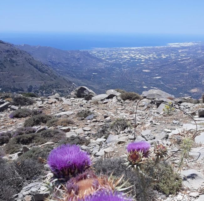 Ierapetra: Eastern Crete Nature Jeep Driving Tour - Who Is This Tour Best For?