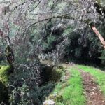 Iglesias: trekking in the Marganai Forest in Domusnovas - Exploring the Trek: A Step-by-Step Look