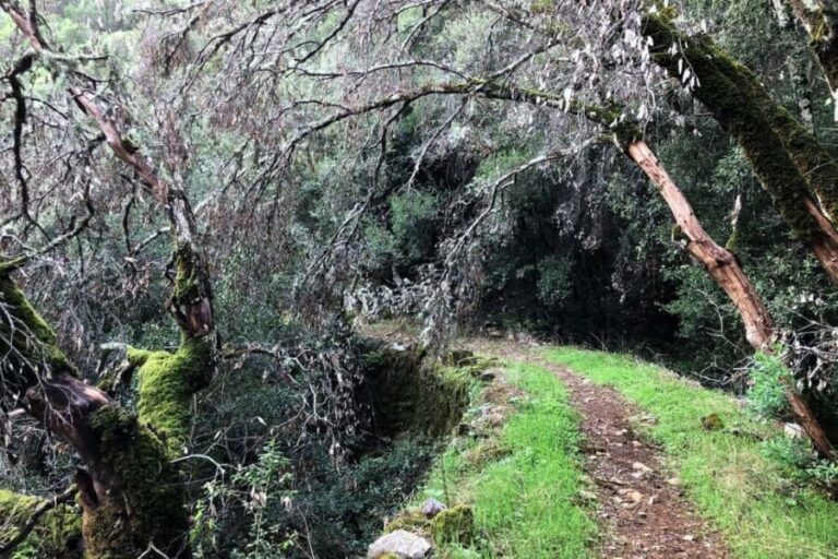 Iglesias: trekking in the Marganai Forest in Domusnovas - Exploring the Trek: A Step-by-Step Look