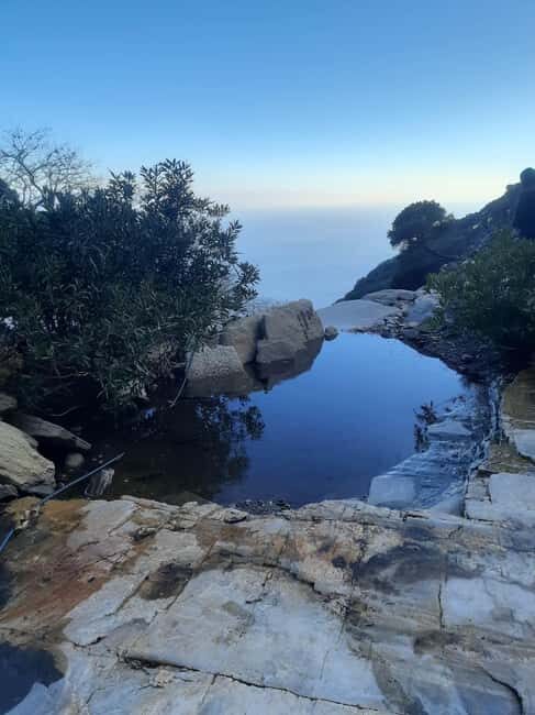 Ikaria: Hiking Tour on the Greek Blue Zone Island - Who Is This Tour Best Suited For?