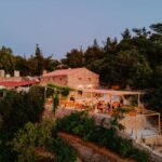 Ikaria, Two Family-run Wineries in a single Day with Pick-Up - Final Thoughts