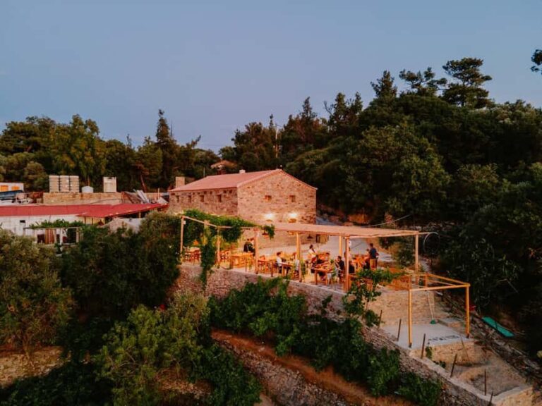 Ikaria, Two Family-run Wineries in a single Day with Pick-Up - Final Thoughts
