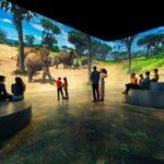 Illuminarium Las Vegas - The Itinerary and Location