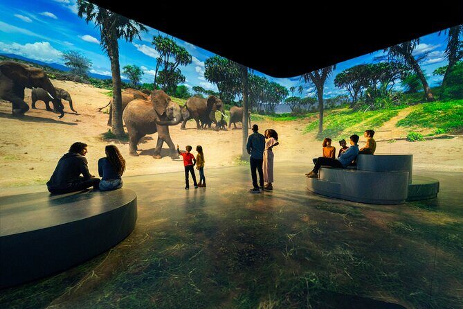 Illuminarium Las Vegas - The Itinerary and Location