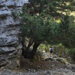 Imbros Gorge: Walk the Trail, Live the Story Private Tour - The Day Itself: A Breakdown of the Experience