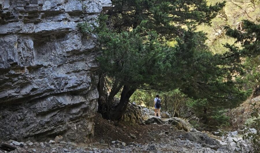 Imbros Gorge: Walk the Trail, Live the Story Private Tour - The Day Itself: A Breakdown of the Experience