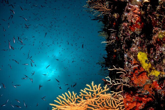 Immersion in Banco Santa Croce from Sorrento with Expert Guide - The Experience and What Travelers Say