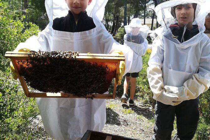 Immersion in the Life of a Hive and its Sacred Bees - The Experience in Detail