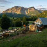 Immersive 2-Day Tour/Homestay with Shepherds in the Albanian Alps - The Value of Authentic Shepherd Life