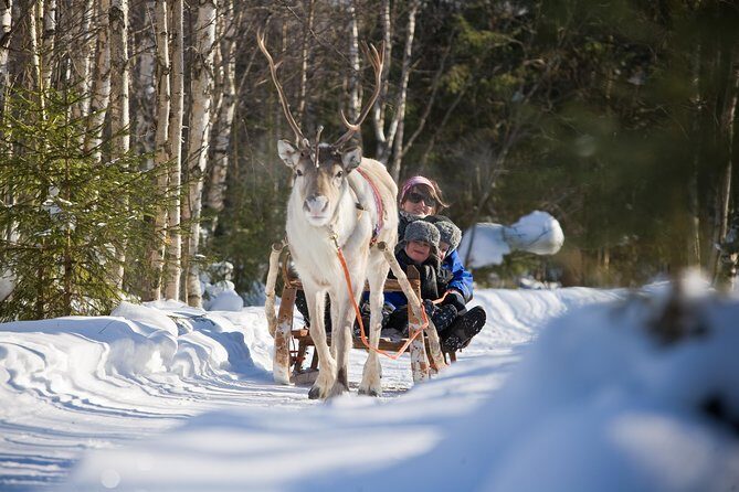 In Pursuit of Reindeer - Snowmobile safari to reindeer farm in Rovaniemi - The Itinerary: What Makes This Tour Stand Out