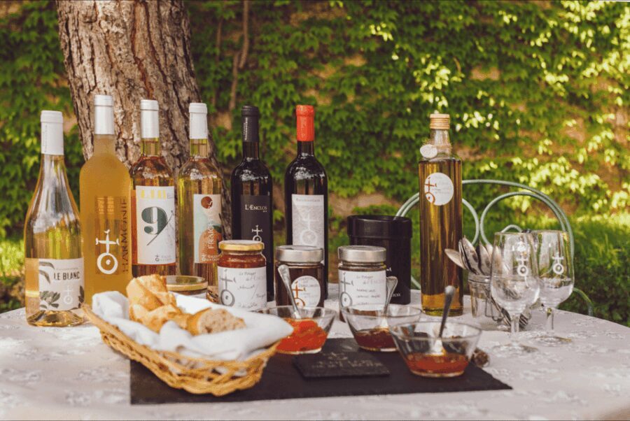 In the skin of a winemaker - Who Should Consider This Tour?