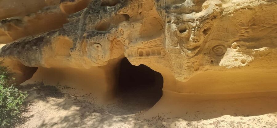 In the woods of Bibbona, a walking tour with an archaeologist in a mysterious necropolis - What to Expect and Practical Tips