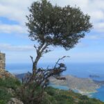 Individual travel accompaniment East Crete - Highlights of the Experience