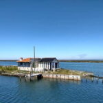 Industry or Nature Boat Tour | Speedboat - The Bottom Line