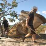 Insightful Pistachio Orchard and Factory Tour - The Value of the Tour