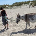 Inspirational Nature Walking Tour with Donkeys in The Hague - Final Thoughts