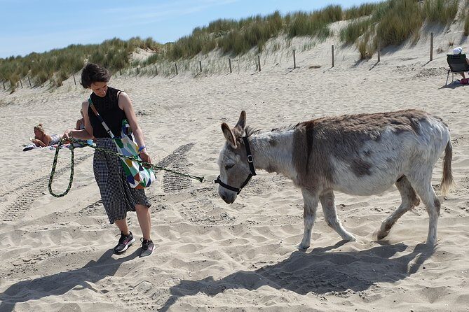 Inspirational Nature Walking Tour with Donkeys in The Hague - Final Thoughts