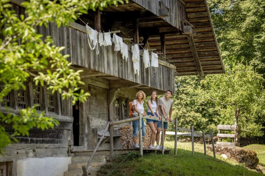 Interlaken: Admission ticket for the Ballenberg Open-Air Museum - Who Should Visit?