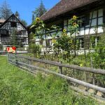 Interlaken: Ballenberg Swiss Open-Air Museum Tour - Who Is This Tour Best For?