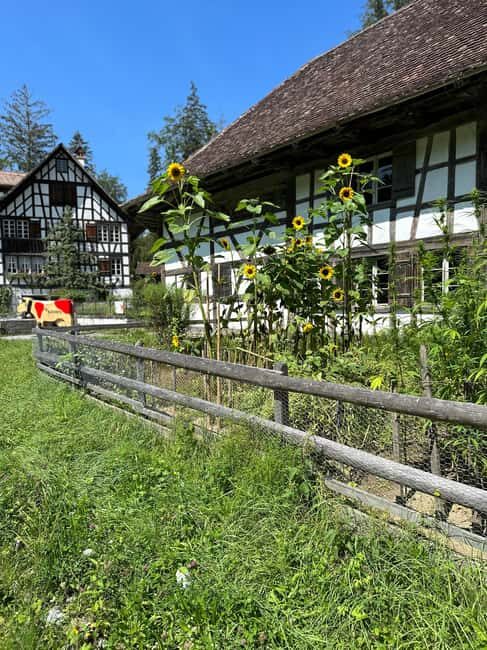 Interlaken: Ballenberg Swiss Open-Air Museum Tour - Who Is This Tour Best For?