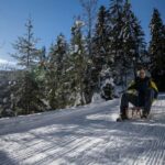 Interlaken: Guided Sledging Adventure - What the Tour Includes and What to Expect