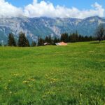 Interlaken: Highlights Tour with a Local by Private Car - Who Is This Tour Best Suited For?