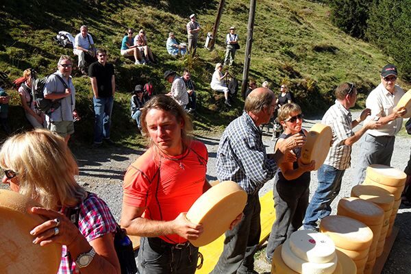 Interlaken & Jungfrau: Custom-Tailored Tour with Local Guide - Is This Tour Worth It?